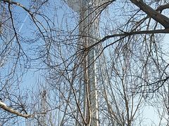 -龙塔