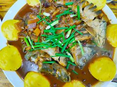 -白洋淀景区