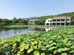 -苏州环秀晓筑养生度假村