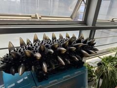 -宫品海参专卖店(静安大宁店)