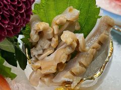 加拿大鲜活A级象拔蚌-喜聚薈·花膠雞海鮮火鍋(越秀店)