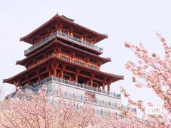 -古柏渡飞黄旅游区