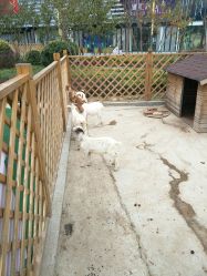 -萌宠亲子动物乐园(槐房万达店)