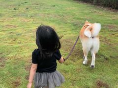 -情侣路