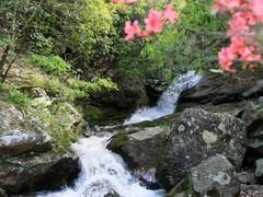 -燕子河大峡谷天坑仙境