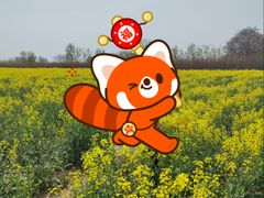 -汉长安城未央宫国家考古遗址公园