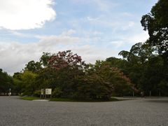 -京都御所