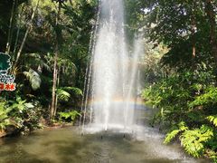 -绿光森林餐厅