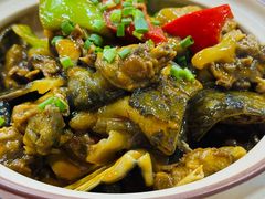 荆沙甲鱼-虎虎龙虾大排档(双井店)