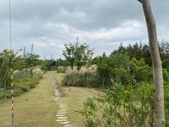 -上海长兴岛郊野公园