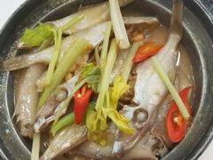 -日日香卤鹅饭店·澄海狮头鹅(澄海店)