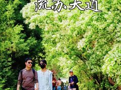 -国家植物园南园