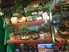 -扶光书店(中环店)