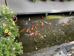 -绿房子方寸咖啡(星海名城店)