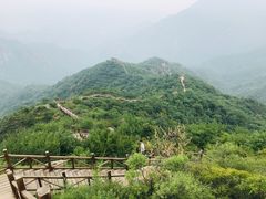 -大岭沟猕猴桃谷风景区