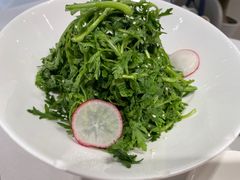 -新吉士·上海菜(浦东LCM置汇旭辉店)