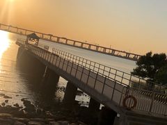 -宝安西湾红树林湿地公园