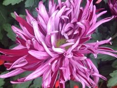 iphone_upload_pic-迎泽公园