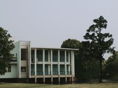 -上海滨江森林公园