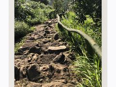 -梧桐山风景名胜区