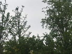 -杭州湾海上花田景区