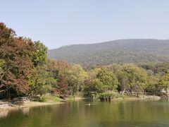 -紫霞湖公园