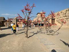 -镇北堡西部影城