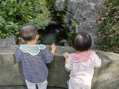 -墨池公园