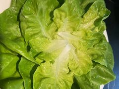 -九孔·筒骨莲藕汤锅(大明宫万达店)