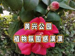 -黄兴公园
