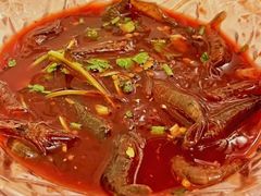炝虾-玲珑餐厅(陕西南路店)