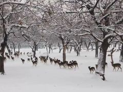 -西安秦岭野生动物园