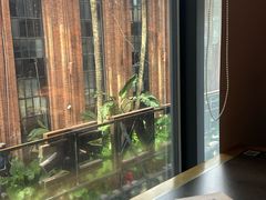 -同仁四季椰子鸡(罗湖国贸店)
