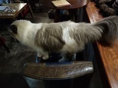 -咖法森林·咖啡  酒吧(天河店)