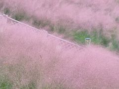 -牛岗山公园