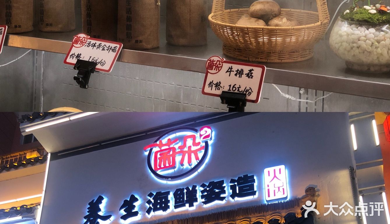 吉林美食｜菌朵火锅🍄跟闺蜜约一场养生局