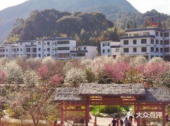 轻罗小扇白兰花， 纱纤腰细带舞天