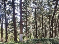 -七曲山风景区