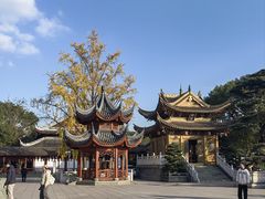 -上海东林寺(金山区)