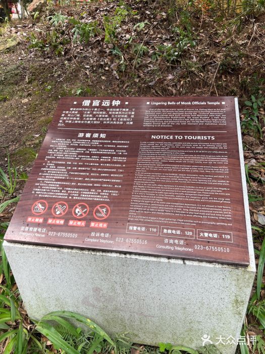 铁山坪森林公园图片