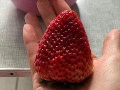 -普迪生态园