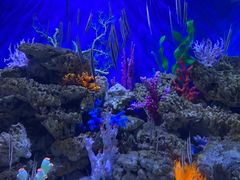 -成都浩海立方海洋公园