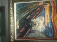 -成都泰迪熊博物馆