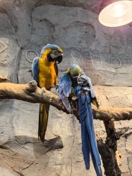 -Zoolung Zoolung动物主题公园(海信广场店)