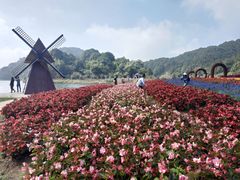 -广州市石门国家森林公园