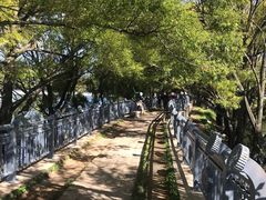 -清溪水库