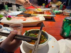 -二荆条·蜀鲜汇城市森林火锅