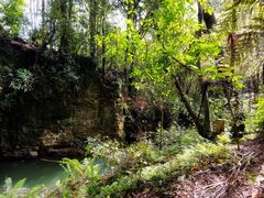 -怀托摩萤火虫洞