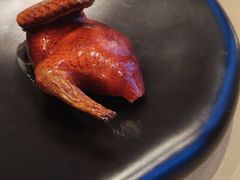 脆皮妙龄鸽-新荣记(新源南路店)