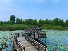 -野鸭湖国家湿地公园